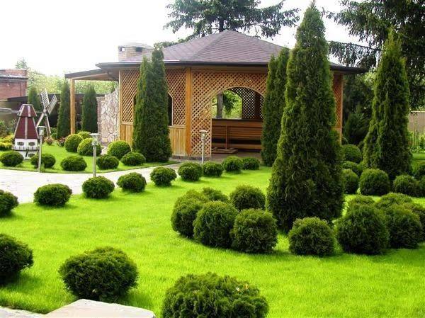 Landscape design